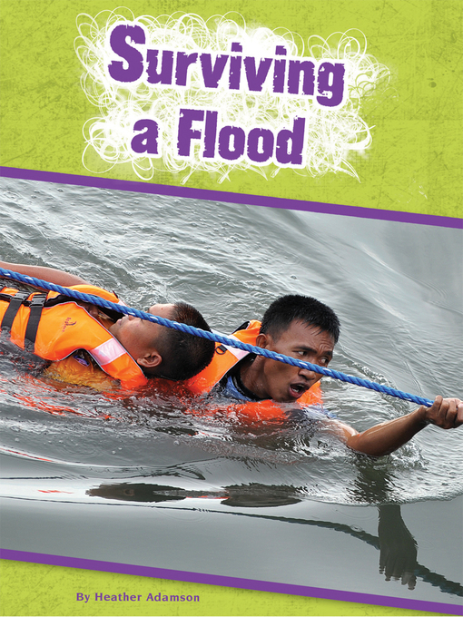Cover of Surviving a Flood